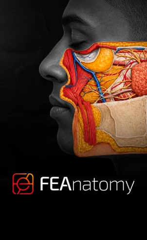 card-FEA